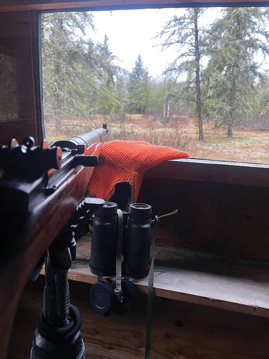 The M1 Garand sits in the hunting blind waiting for whitetail deer to come in to feed.